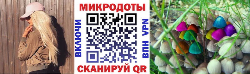 Псилоцибиновые грибы прущие грибы  Цимлянск 